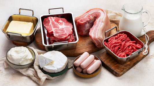 Carnivore Rezepte