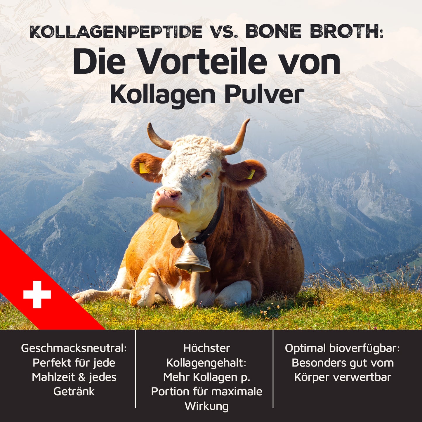 Beef Collagen