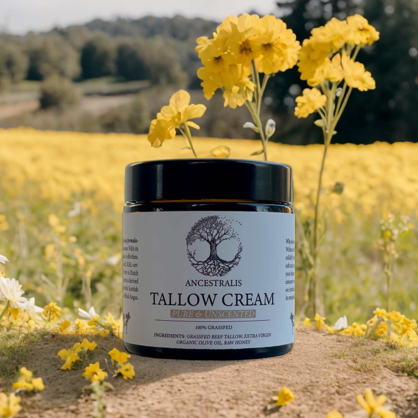 Tallow Creme