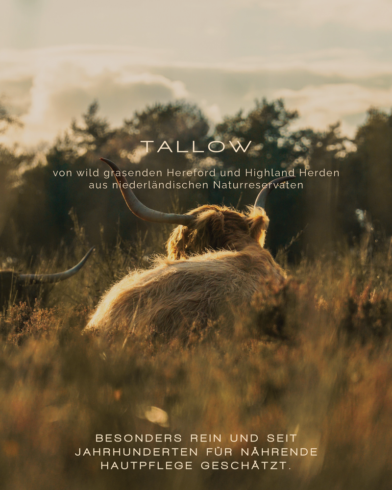 Aurendis – Slide 3