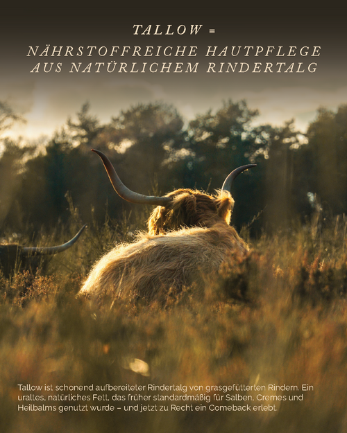 Aurendis Instagram Post 7