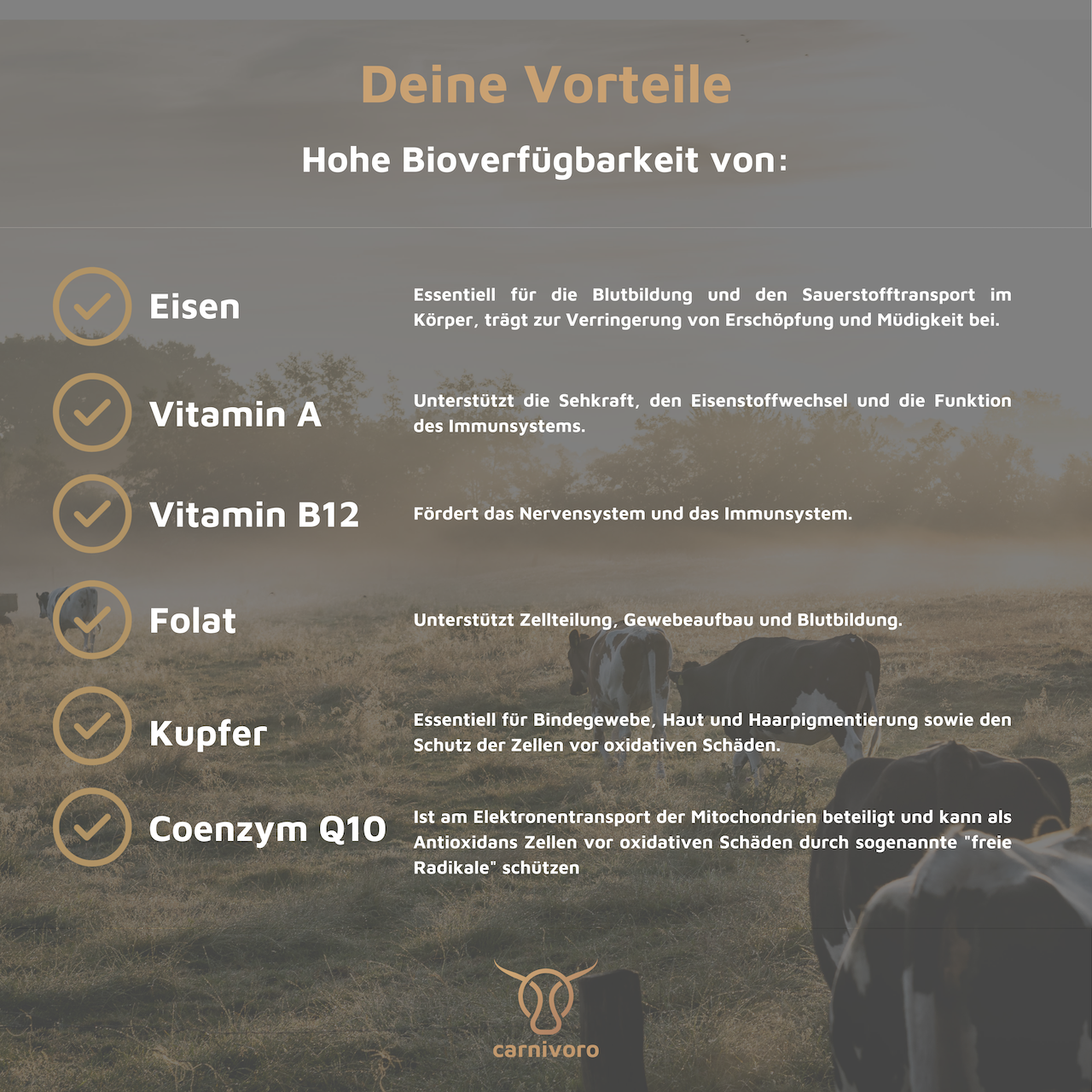 Organi di Manzo Alimentati con Erba