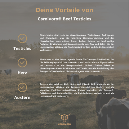 Santé des hommes Paket